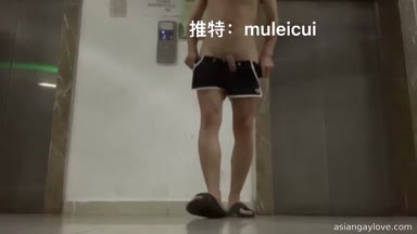 @muleicui