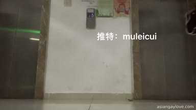 @muleicui