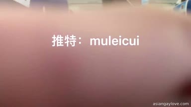 @muleicui