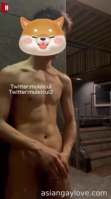 @muleicui