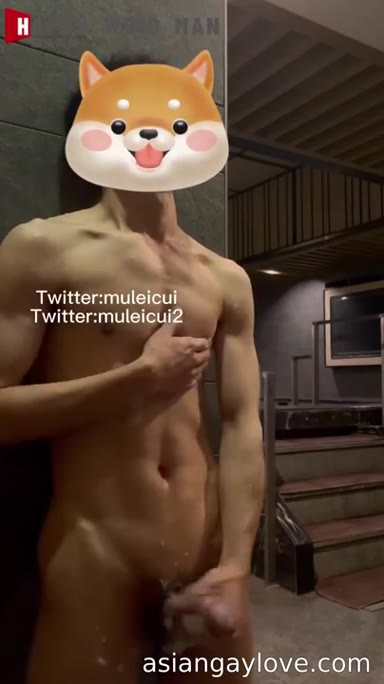 @muleicui