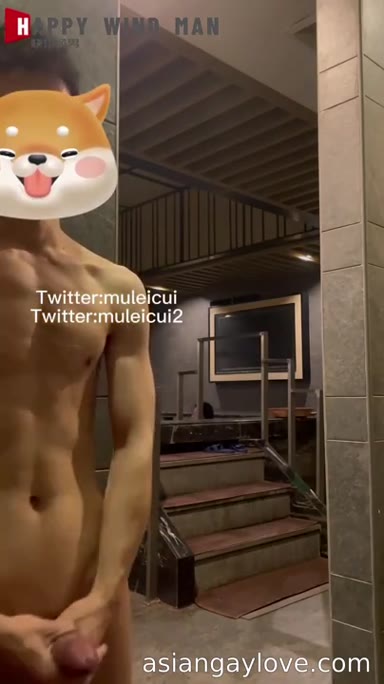 @muleicui