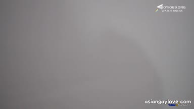 @who20050