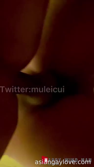 @muleicui