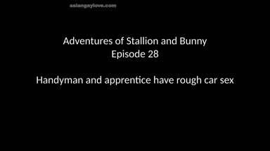 @stallion_bunny
