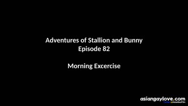 @stallion_bunny