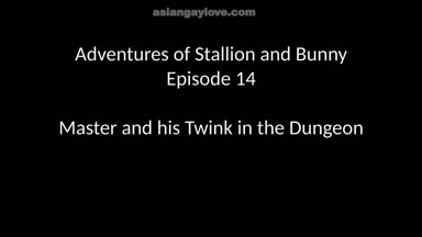 @stallion_bunny