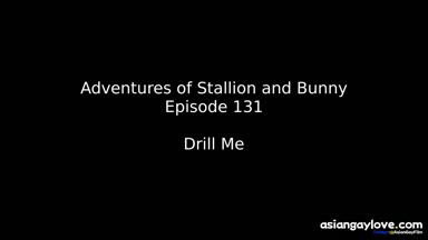 @stallion_bunny
