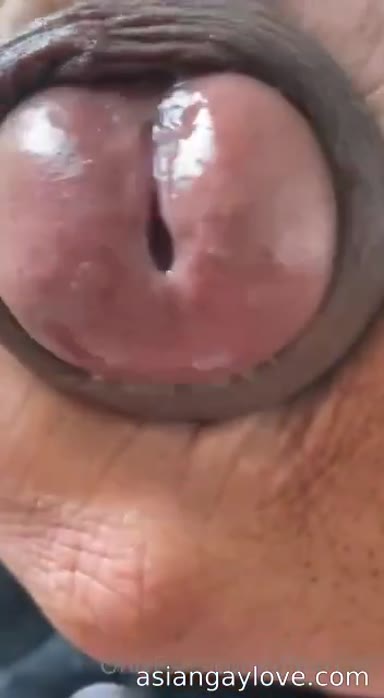 @dibarros1