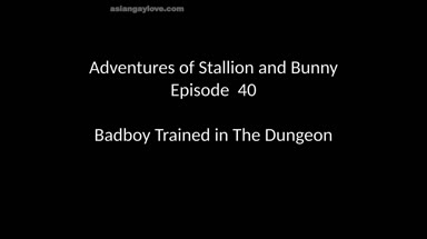 @stallion_bunny