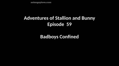 @stallion_bunny