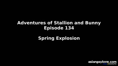 @stallion_bunny
