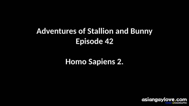 @stallion_bunny