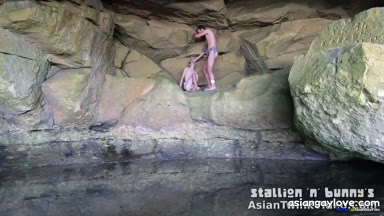 @stallion_bunny