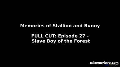 @stallion_bunny