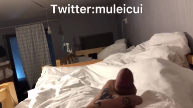 @muleicui