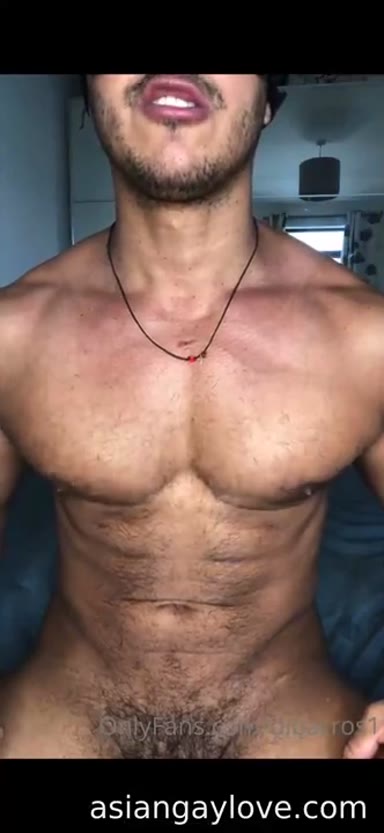 @dibarros1