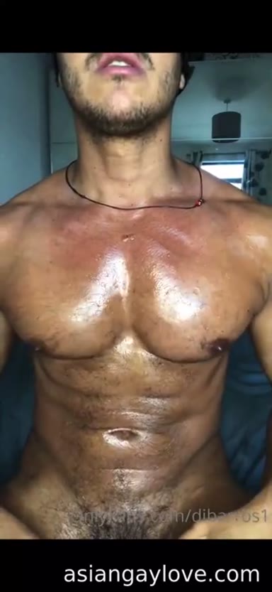 @dibarros1