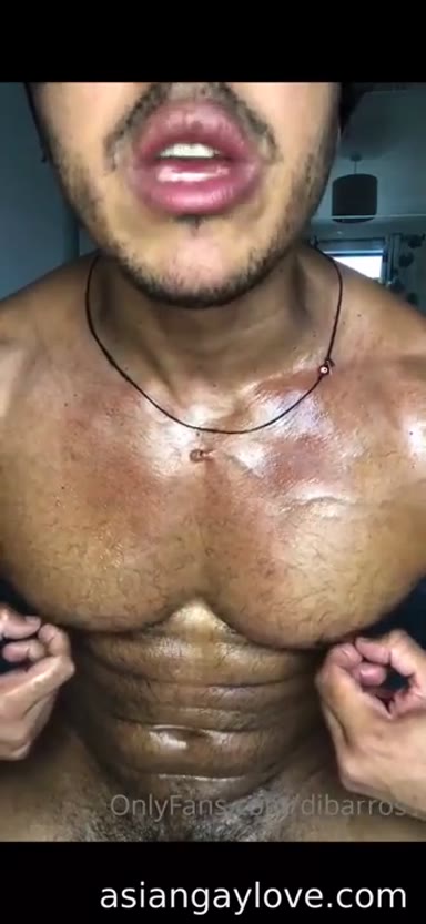 @dibarros1
