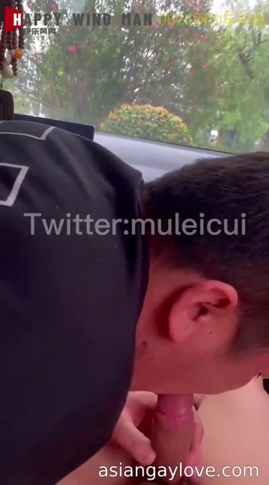 @muleicui