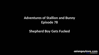 @stallion_bunny