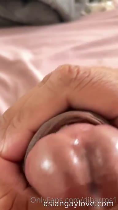 @dibarros1