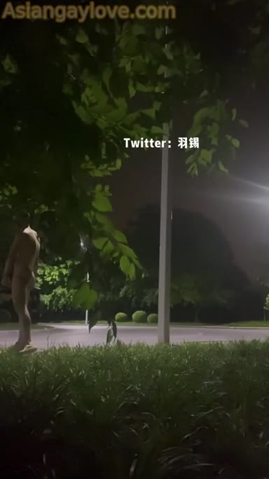 Asian_Gay_Fuck_Collection