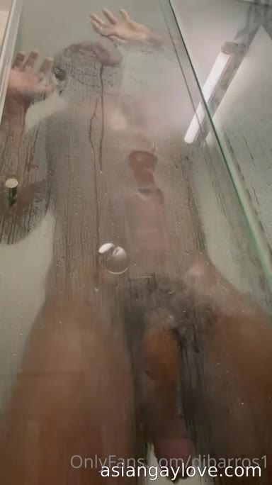 @dibarros1