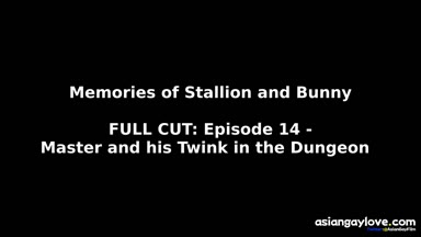 @stallion_bunny