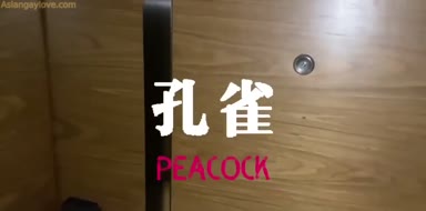 Asian_Gay_Fuck_Collection