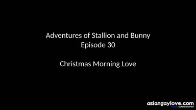 @stallion_bunny
