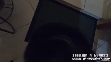 @stallion_bunny