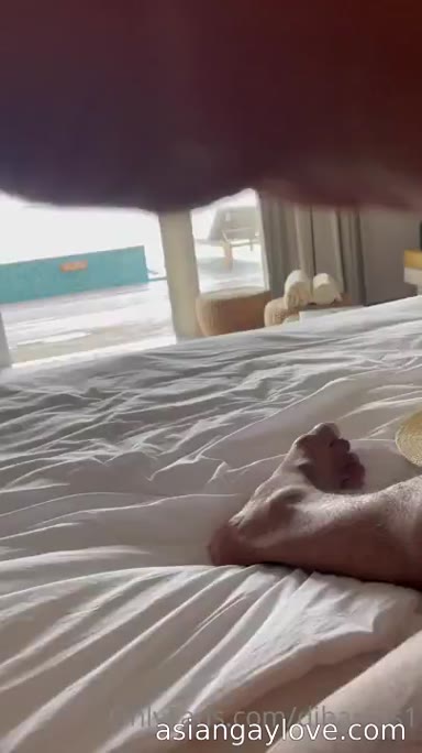 @dibarros1