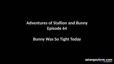 @stallion_bunny