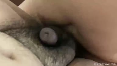 China_bear