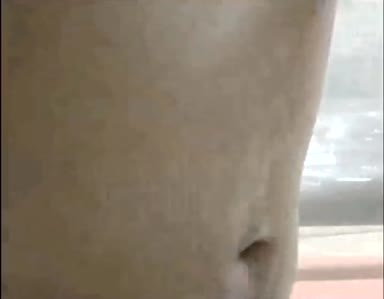 Chinese_Bathhouse_Spy_Cam