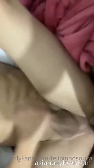 @felipinhosouza