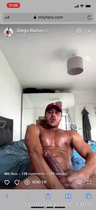 @dibarros1