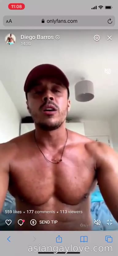 @dibarros1