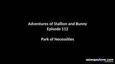 @stallion_bunny