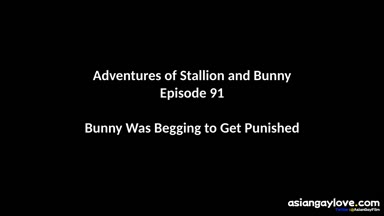 @stallion_bunny