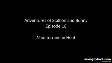 @stallion_bunny