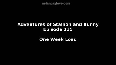 @stallion_bunny