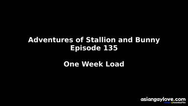 @stallion_bunny