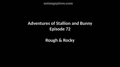 @stallion_bunny