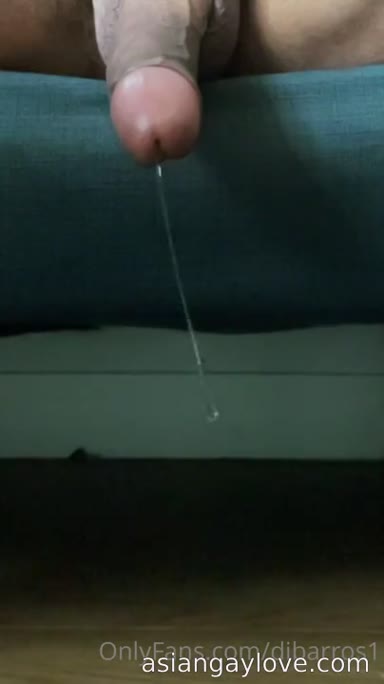 @dibarros1