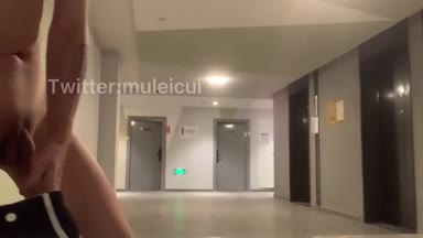 @muleicui