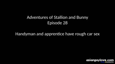 @stallion_bunny