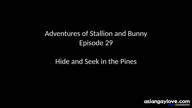 @stallion_bunny