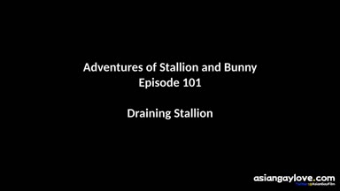 @stallion_bunny